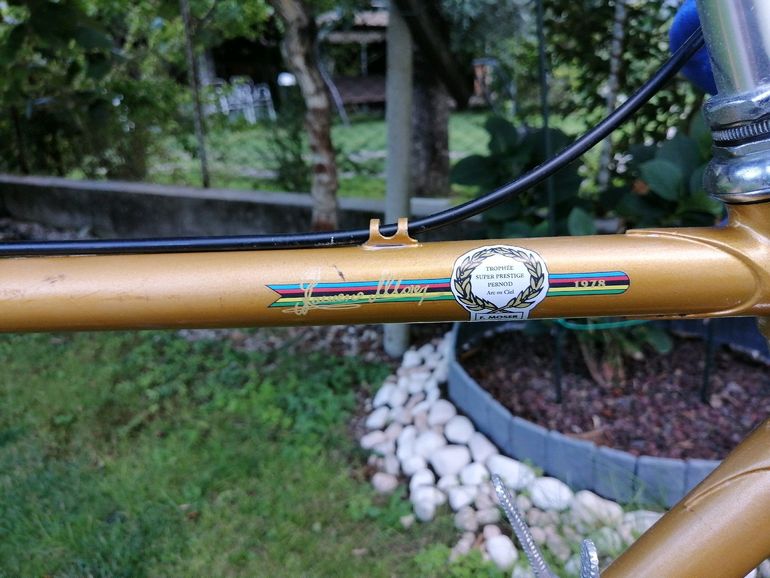 Used moser 1975 1975 Road & Gravel, Orange — image 9 of 11