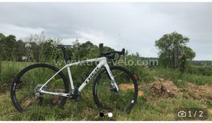 Trek - Boone 7 Disc 2019, 2019