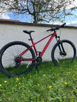 Trek - Marlin 4 2023, 2023