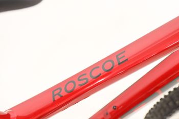 Used Trek Roscoe 9 2022 2022 Mountainbike, Red, 29 — image 5 of 9