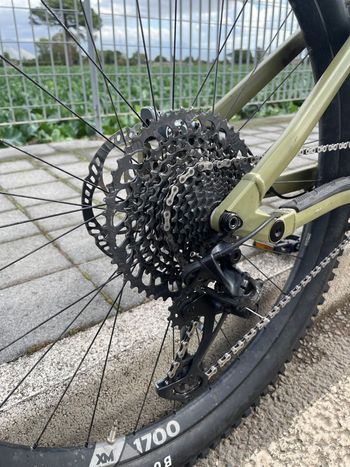Used Rose ROOT MILLER 3 2022 2022 Mountainbike, Grün, 29 — image 24 of 34