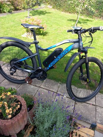 Used CHRISSON E-Weger 2019 Mountainbike, Grigio chiaro — image 1 of 7