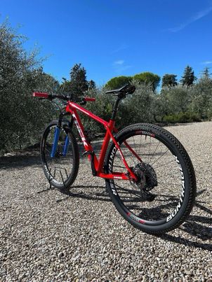 Trek - Procaliber 9.8 2021, 2021