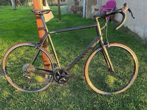 Canyon - Endurace 7 RB 2023, 2023