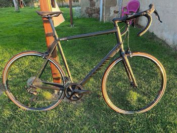 Canyon - Endurace 7 RB 2023, 2023