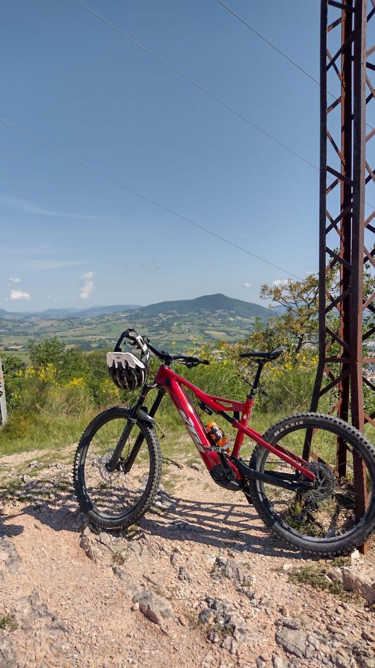 Brugt KTM MACINA PROWLER ELITE 2023 2023 Mountainbike — billede 5 af 5