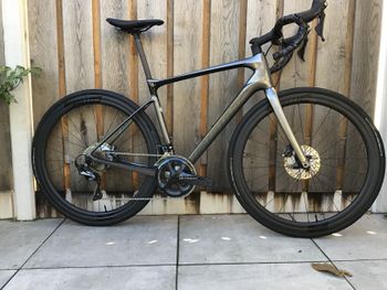 Giant - Defy, Advanced 1 2021, 2021