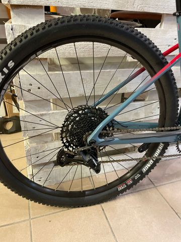 Used Lapierre Prorace CF 5.9 2023 2023 Mountainbike, Blue, 29 — image 3 of 5