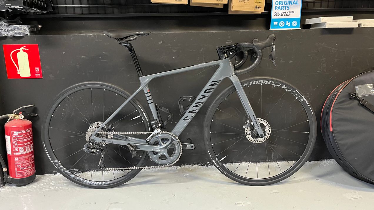 2019 canyon endurace online