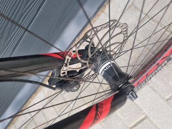 Used Specialized Expert World Cup 2018 Mountainbike, Black — image 7 of 10