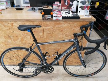 Used Focus CAYO EVO 6.0 MISURA M USATO 2013 Road & Gravel, Blue — image 2 of 12