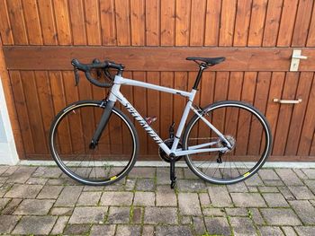 Used Specialized Allez E5 2022 Road & Gravel, Light Gray — image 1 of 3