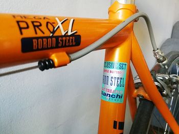 Gebrauchtes Bianchi MegaPro XL Boron Steel 1999 Road & Gravel, Orange — Bild 4 von 10