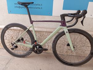 Focus - IZALCO MAX 8.8 2024, 2024