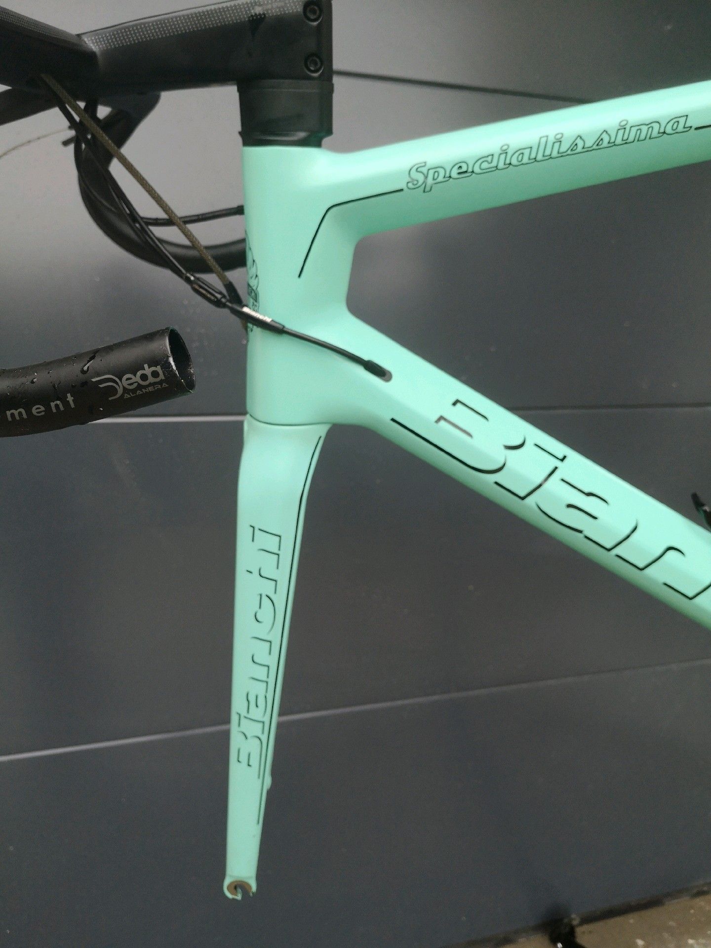 Bianchi bike frame on sale