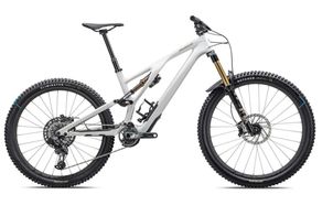 Specialized - Stumpjumper EVO Pro Custom, 2023