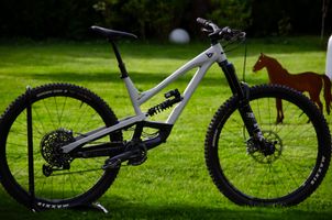 YT Industries - Capra Shred 29 2021, 2021