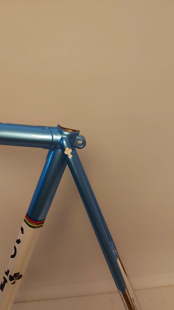 Colnago Master Frameset Frameset 2000 Road & Gravel de segunda mano, Azul — imagen 4 de 17