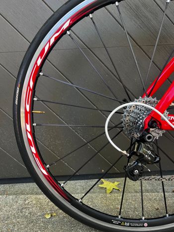 Used Pinarello Dogma 60.1 2012 Road & Gravel, Red — image 9 of 25