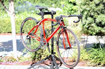 Used Pinarello Dogma 60.1 2012 Road & Gravel, Red — image 2 of 25