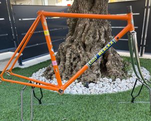 Colnago - Molteni Frameset, 1983