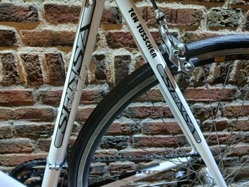 Used Sensa Umbria 2019 Road & Gravel, White — image 9 of 9
