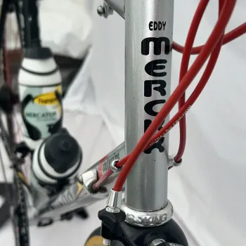 Used Eddy Merckx Titane Pro "Team Vlaanderen" 59cm Super Record 11 Fulcrum #19 2003 Road & Gravel, Light Gray — image 3 of 4