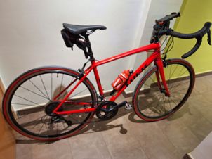 Trek - Domane AL 3 2020, 2020