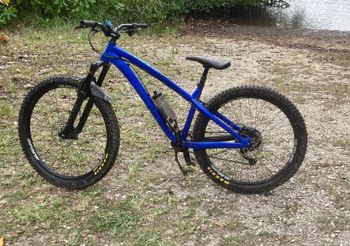 Used Dartmoor Hornet Pro 2021 2021 Mountainbike — image 2 of 3
