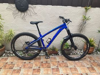 Used Dartmoor Hornet Pro 2021 2021 Mountainbike — image 1 of 3