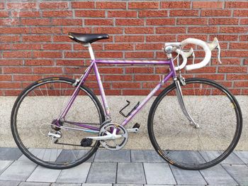 Used Fahrradmanufaktur Concorde Colombo Shimano 105 1995 Road & Gravel — image 1 of 11