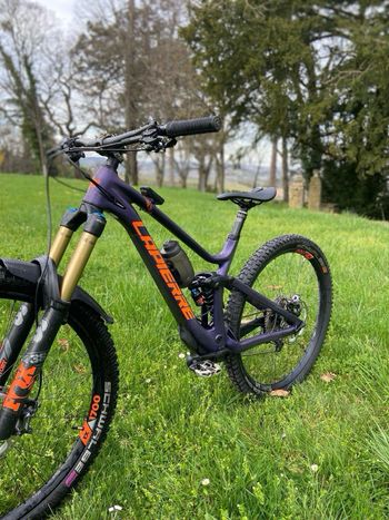 Used Lapierre Spicy CF 7.9 2023 2023 Mountainbike — image 4 of 6