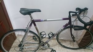 Trek - Pilot 2.0 2010, 2010