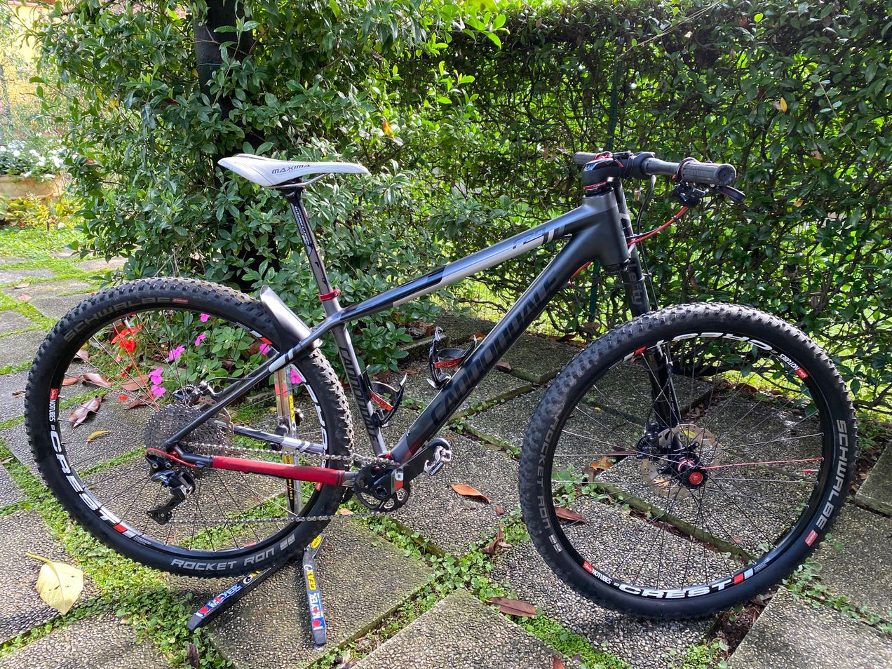 Cannondale F29 Carbon Lefty