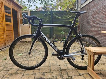Used Pinarello Dogma 65.1 Think2 2014 Road & Gravel, Black — image 13 of 19