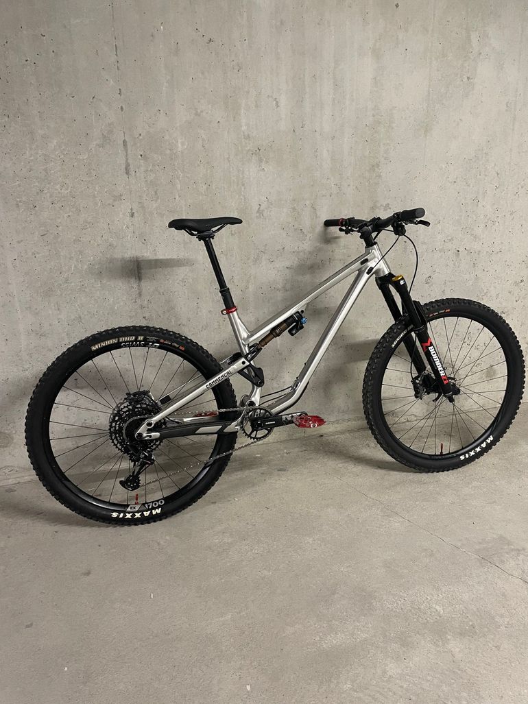 Used Commencal META TR V4 Brushed 2024 Mountainbike, Light Gray — image 7 of 19