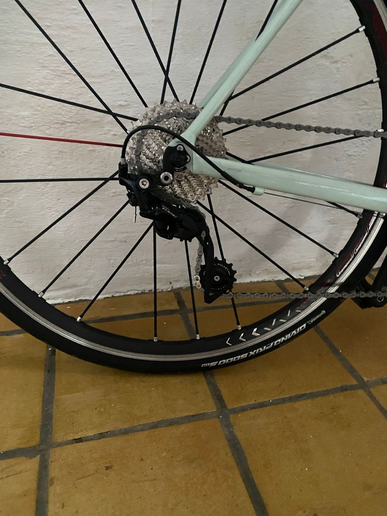 Used Canyon Endurace 7 RB 2023 2023 Road & Gravel, Green — image 6 of 7