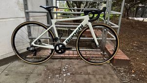 Bianchi - Sprint Rival AXS, 2024