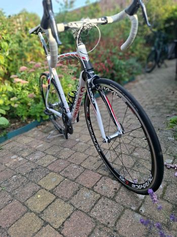Used Pinarello Paris 105 Bike 2020 2020 Road & Gravel — image 4 of 15