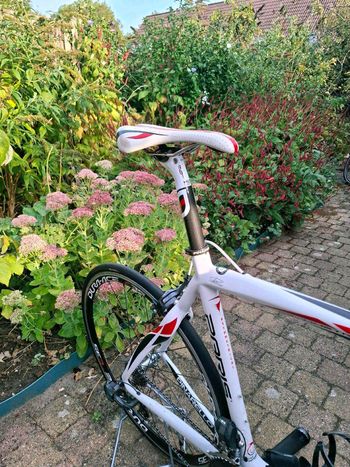 Used Pinarello Paris 105 Bike 2020 2020 Road & Gravel — image 13 of 15