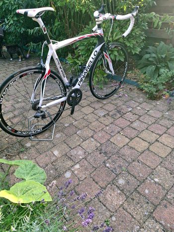 Used Pinarello Paris 105 Bike 2020 2020 Road & Gravel — image 3 of 15