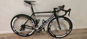 Colnago - V1-R, 2018