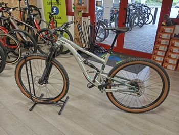 Used Kellys THORX 10 29" 2023 2023 Mountainbike, Hellgrau, 29 — image 1 of 4