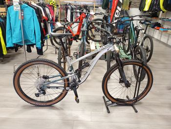 Used Kellys THORX 10 29" 2023 2023 Mountainbike, Hellgrau, 29 — image 2 of 4