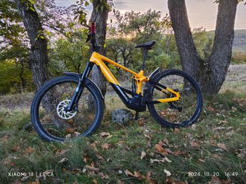 Used Orbea WILD H20-EAGLE 2024 2024 Mountainbike, Orange, 29 — image 3 of 3
