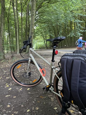Used Kona Dew Plus 2021 Mountainbike — image 2 of 3