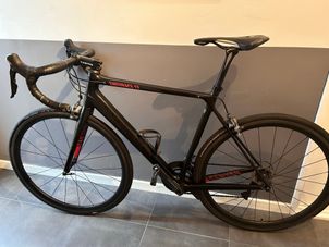 Canyon - Endurace CF 8.0 2019, 2019