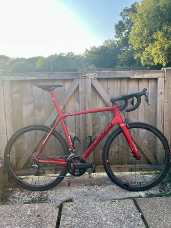 Colnago rb price sale