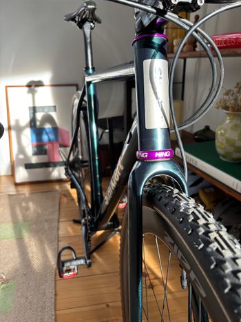 Used Standert Pfadfinder 2022 Road & Gravel — image 5 of 8
