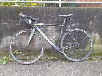 LOMBARDO Imola 2018 Road & Gravel de segunda mano, Negro — imagen 2 de 3
